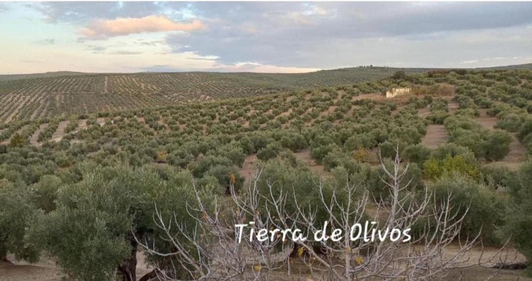 Alojamiento Vival Pineda Baeza Extérieur photo
